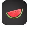VPN Melon in Windows
